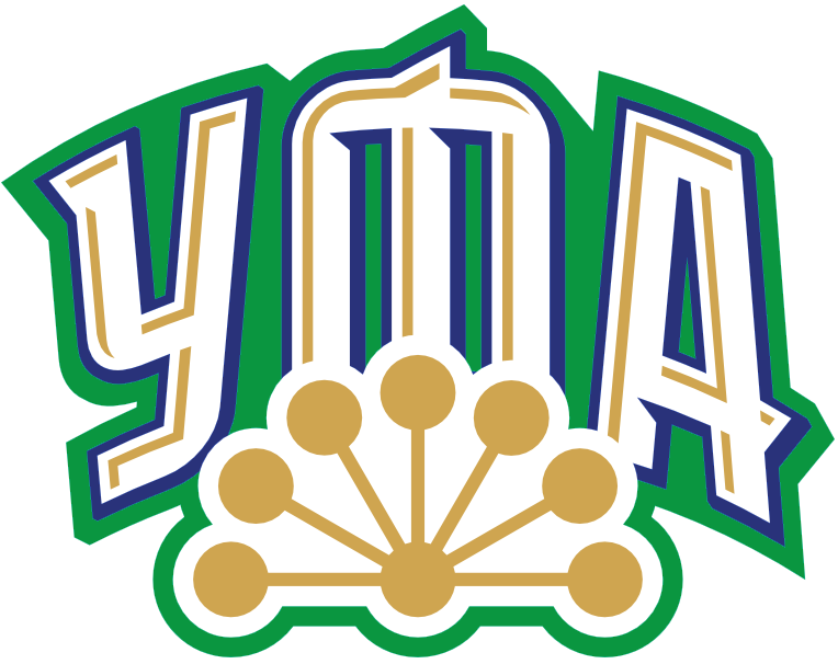 Salavat Yulaev Ufa 2014-Pres Alternate Logo v3 iron on transfers for T-shirts